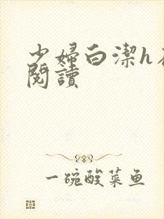 少妇白洁h在线阅读