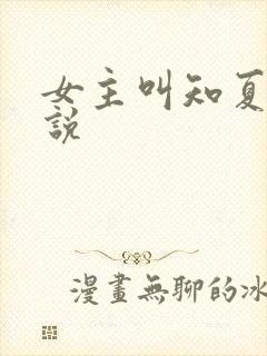 女主叫知夏的小说