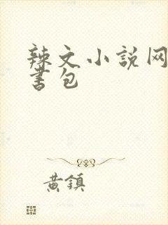 辣文小说网第二书包