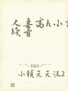 人妻高h小说在线看封面