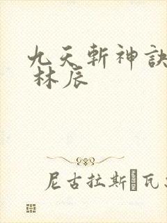 九天斩神诀林辰 林辰