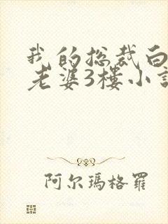 我的总裁白富美老婆3楼小说目录