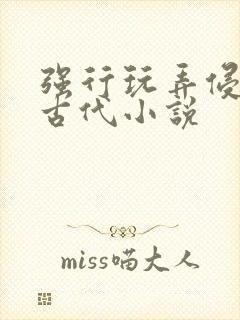 强行玩弄侵犯h古代小说