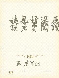 姨见情深原著小说免费阅读