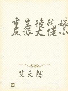 重生后我嫁给了反派大佬小说