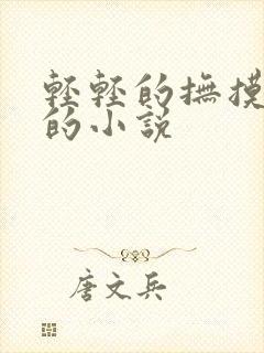 轻轻的抚摸乳房的小说
