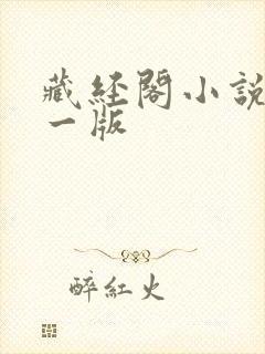 藏经阁小说网第一版封面