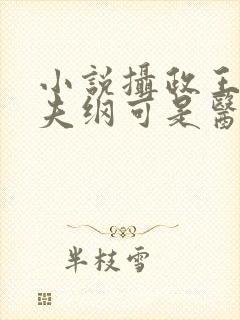 小说摄政王想立夫纲可是医妃太狂