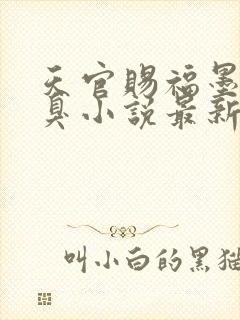 天官赐福墨香铜臭小说最新章