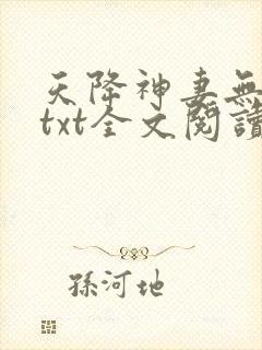 天降神妻无删减txt全文阅读下载封面