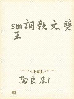 sm调教文双男主