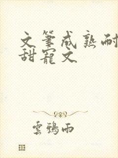 文笔成熟耐看的甜宠文