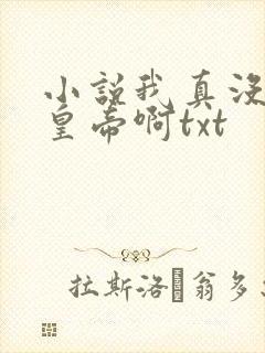 小说我真没想当皇帝啊txt封面