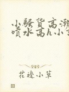 小骚货高潮调教喷水高h小说封面