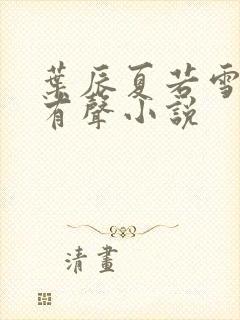 叶辰夏若雪孙怡有声小说