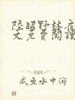 陆昭野林夜棠全文免费阅读最新章节