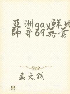亚洲gay鲜肉帅哥69无套xxx