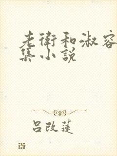 老卫和淑容的全集小说封面