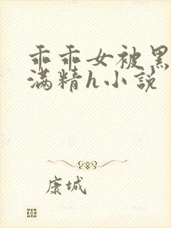 乖乖女被黑人灌满精h小说封面