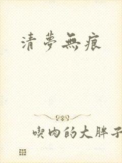 清梦无痕封面