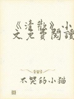 《清欢》小说全文免费阅读