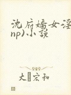 沈府娇女淫史(np)小说