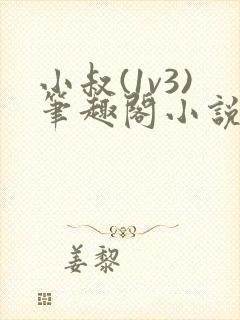 小叔(1v3)笔趣阁小说免费阅读笔趣阁最