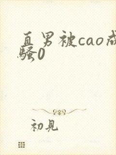 直男被cao成骚0封面