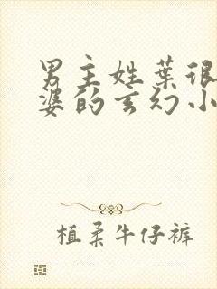 男主姓叶很多老婆的玄幻小说