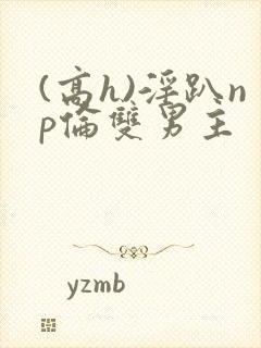 (高h)淫趴np伦双男主