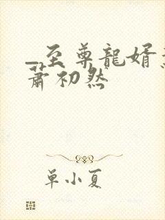 _至尊龙婿叶辰萧初然