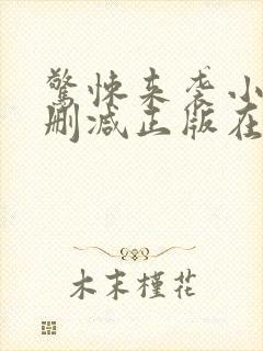 惊悚来袭小说无删减正版在线阅读