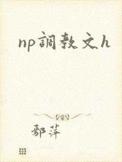 np调教文h