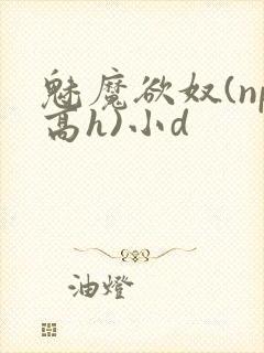 魅魔欲奴(np高h)小d