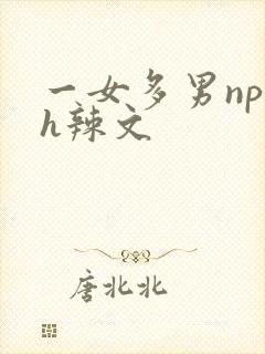 一女多男np高h辣文
