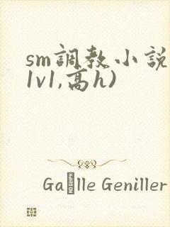 sm调教小说(1v1,高h)