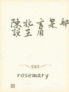 陈北玄是哪部小说主角