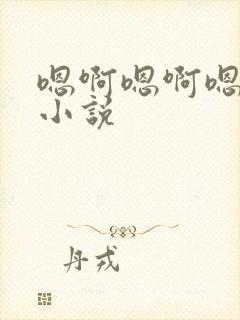 嗯啊嗯啊嗯啊的小说封面