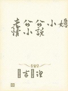 老公公小媳妇激情小说封面