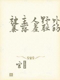 被主人野外调教暴露羞耻的小说封面