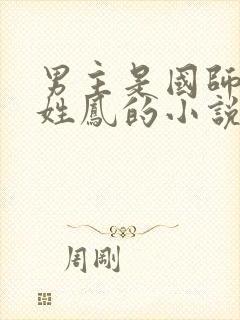 男主是国师女主姓凤的小说