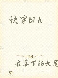 快穿bl h