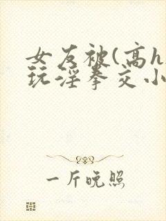 女友被(高h)玩淫拳交小说封面