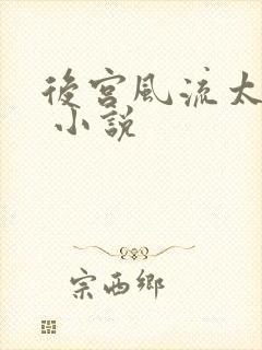 后宫风流太后乱 小说