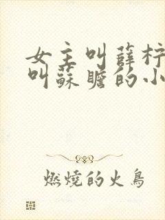 女主叫薛柠男主叫苏瞻的小说封面