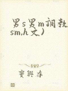 男s男m调教(sm,h文)