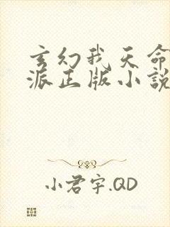 玄幻我天命大反派正版小说天命反派
