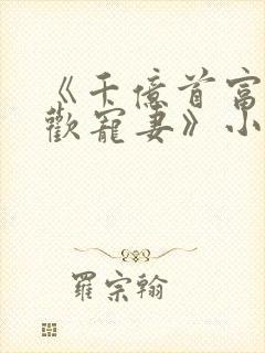 《千亿首富的新欢宠妻》小说