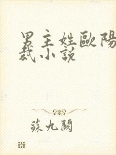 男主姓欧阳的总裁小说