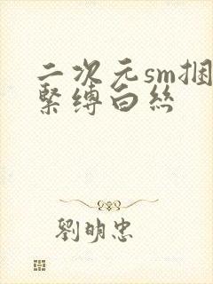 二次元sm捆绑紧缚白丝封面